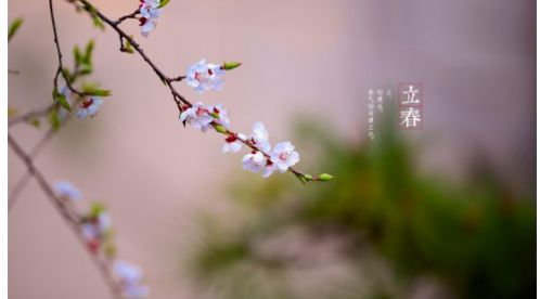 立春|一年四季春為首，莫負(fù)春日好時(shí)光——【易造科技】