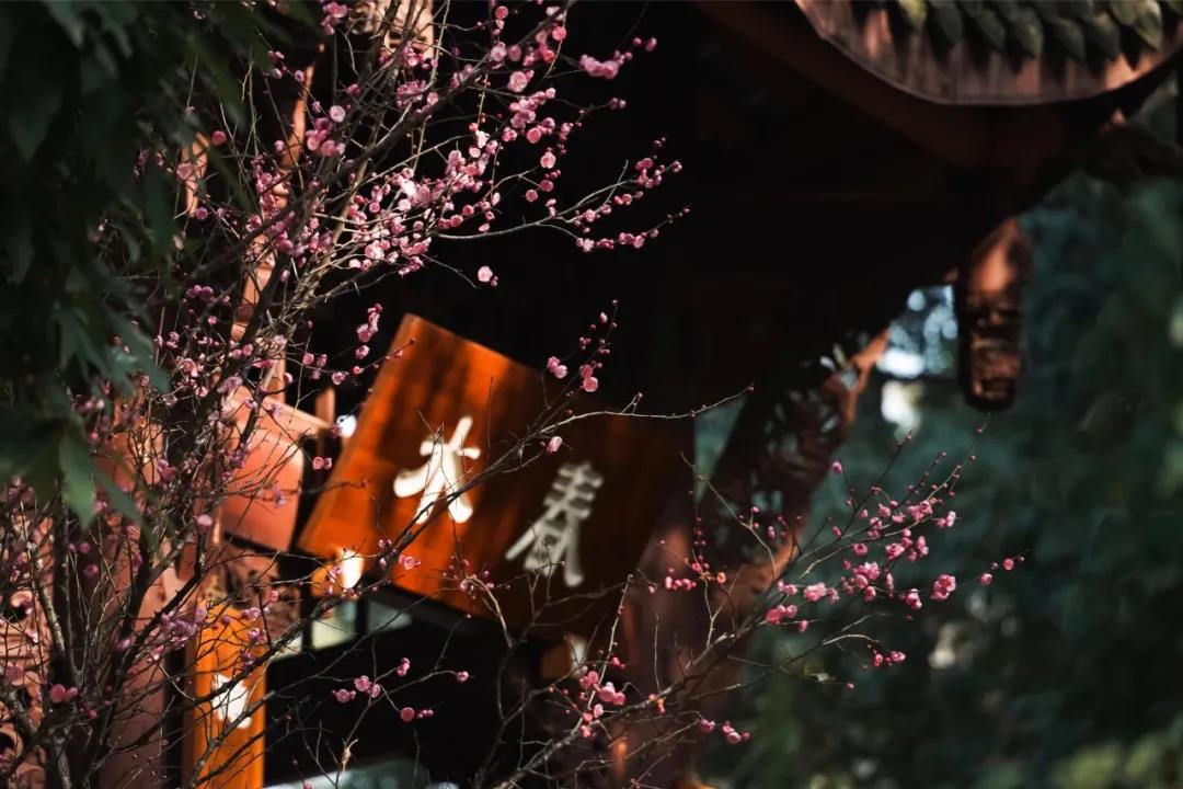 立春一年新的開始-杭州易造 立春一年新的開始-杭州易造