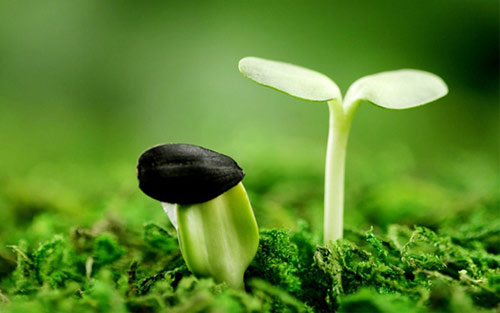 二十四節(jié)氣 | 驚蟄到，春意濃【杭州易造】