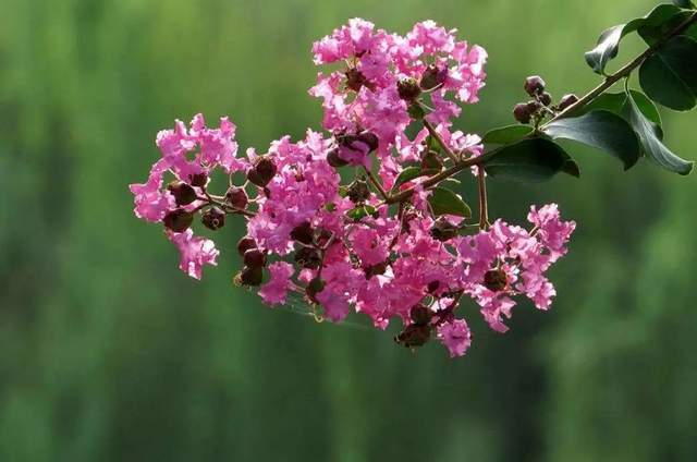 植樹節(jié)-春風(fēng)十里，正“植”有你【杭州易造】