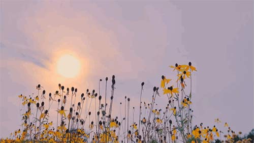 三八婦女節(jié)丨祝所有女神:愿你笑靨如花,一生不減芳華-杭州易造 三八婦女節(jié)丨祝所有女神:愿你笑靨如花,一生不減芳華-杭州易造