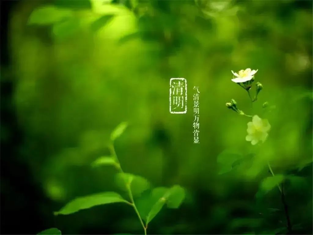 清明節(jié)——清明時節(jié)雨紛紛，路上行人欲斷魂