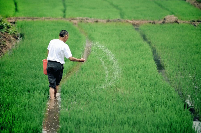 立夏六｜春光忽盡，夏木成陰【杭州易造】
