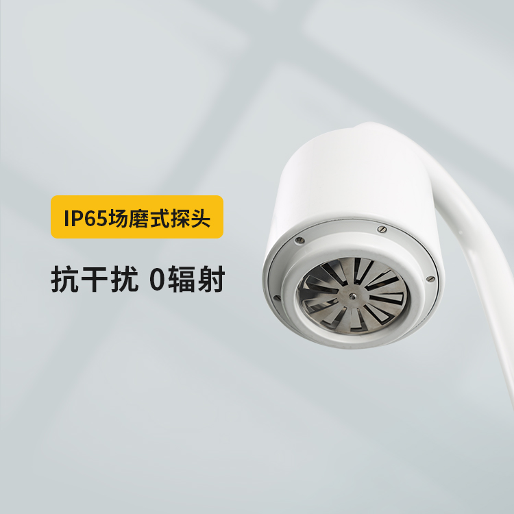 雷電預(yù)警系統(tǒng)-IP65場磨式探頭