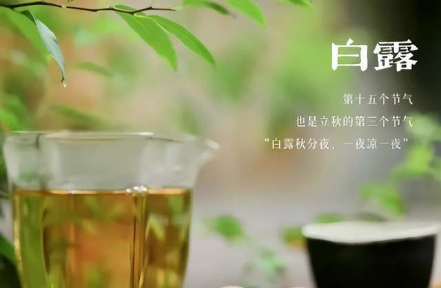 二十四節(jié)氣-白露 | 白露至,秋實美