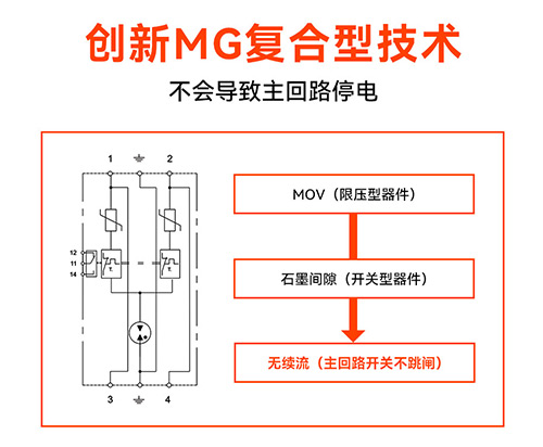浪涌保護(hù)器廠家-復(fù)合型