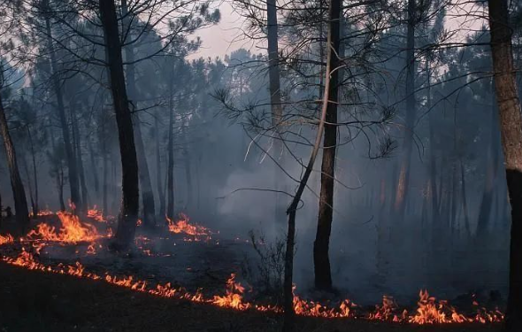 景區(qū)雷電預警系統(tǒng)
